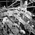 souvenirs en noir et blanc (241)